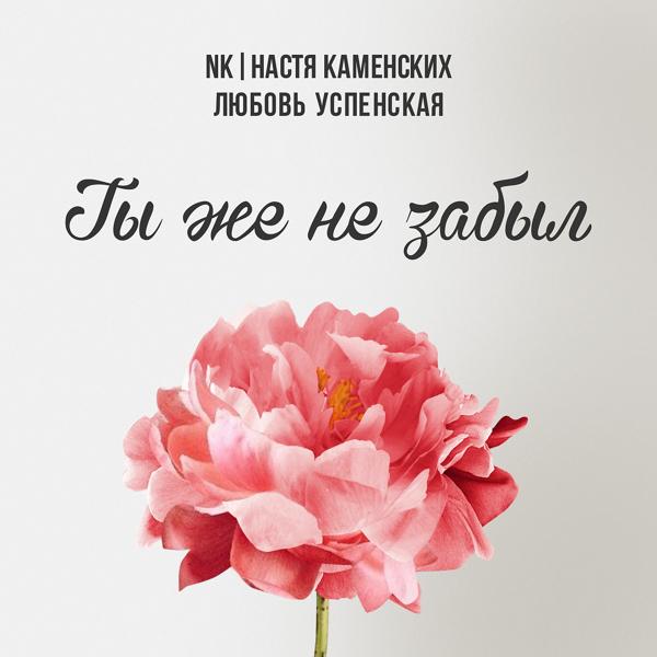 Обложка песни Настя Каменских, Любовь Успенская - Ты же не забыл