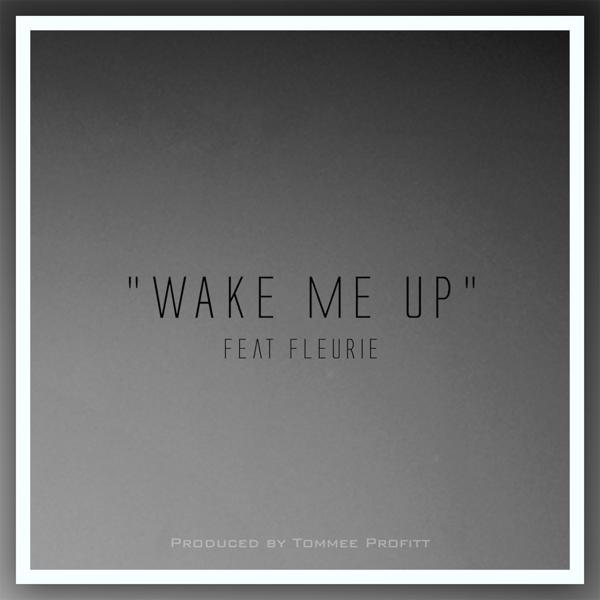 Обложка песни Tommee Profitt, Fleurie - Wake Me Up