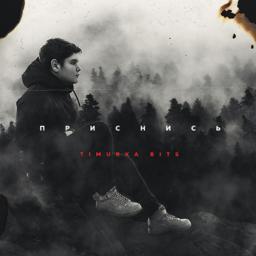 Обложка песни TIMURKA BITS - Приснись