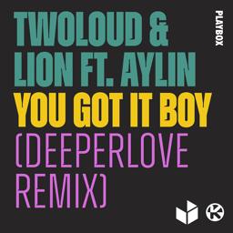 Обложка песни twoloud, Lion, Aylin - You Got It Boy (Deeperlove Remix)
