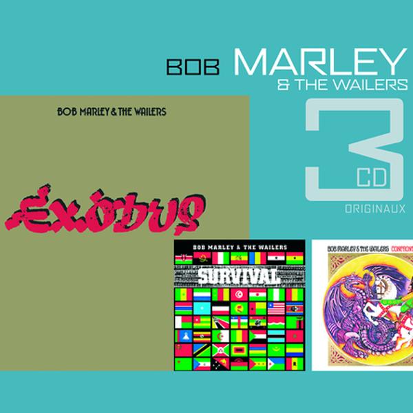 Обложка песни Bob Marley & The Wailers - Natural Mystic (Album Version)