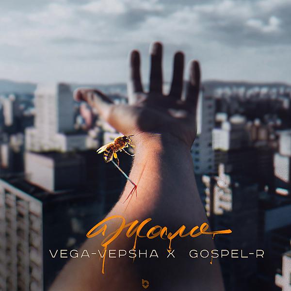 Обложка песни Gospel-R & VeGa-VepSha - Жало
