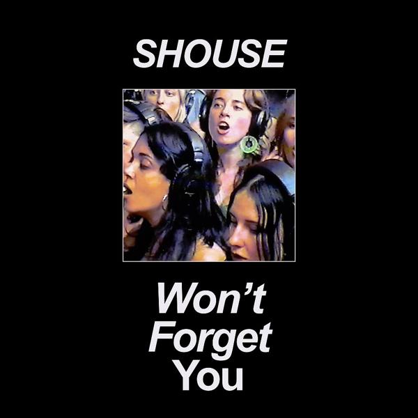 Обложка песни Shouse - Won't Forget You (Edit)