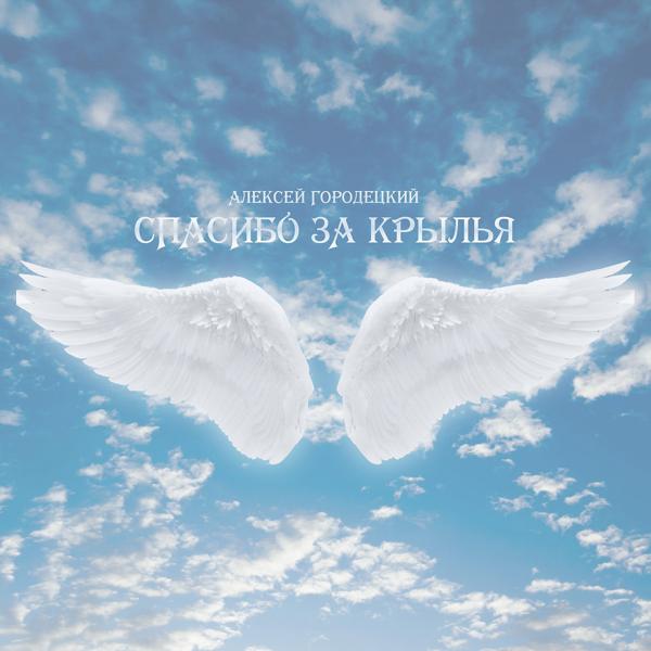 Обложка песни Алексей Городецкий - Спасибо за крылья