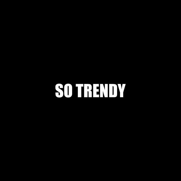 Обложка песни Sleaford Mods - So Trendy