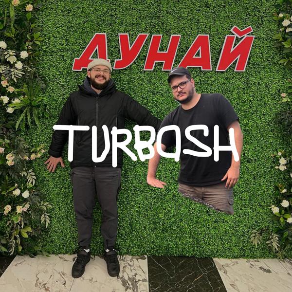 Обложка песни Turbosh - Дунай