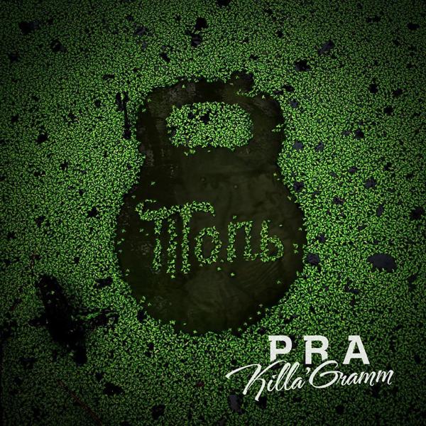 Обложка песни Pra(Killa'Gramm) - Мы сможем
