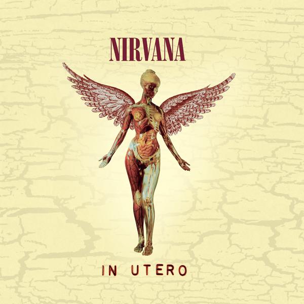 Обложка песни Nirvana - Heart-Shaped Box