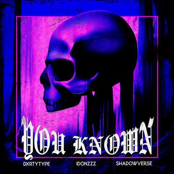 Обложка песни DXRTYTYPE, idonzzz, Shadowverse - You Known