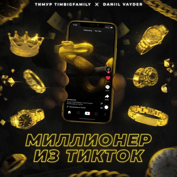 Обложка песни Тимур TIMBIGFAMILY, Daniil Vayder - Миллионер из TikTok