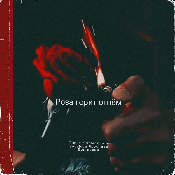 Обложка песни Timur mustaev, Lera soveleva, Ярослава Дегтярева - Роза горит огнём