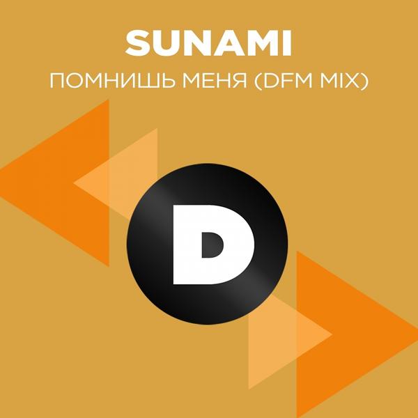 Обложка песни Sunami - Помнишь меня (DFM Mix)