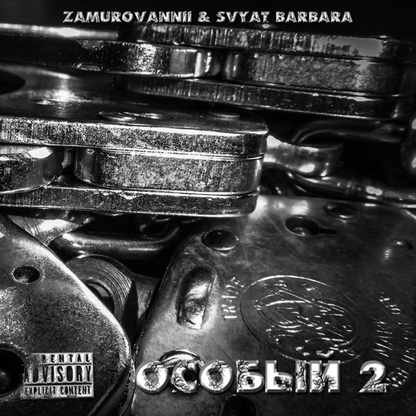 Обложка песни ZAMUROVANNII, Svyat Barbara - Особый 2
