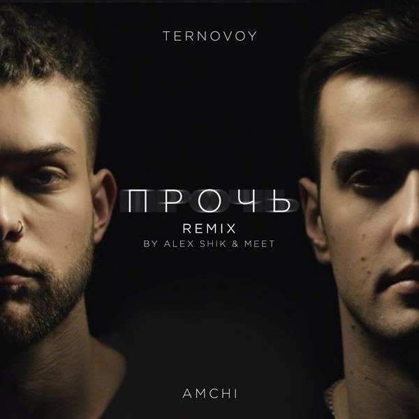 Обложка песни AMCHI, TERNOVOY - Прочь (Alex Shik & MeeT Radio Edit)