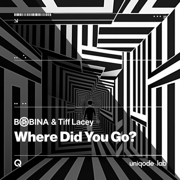 Обложка песни Bobina, Tiff Lacey - Where Did You Go? (Chill Night Mix)