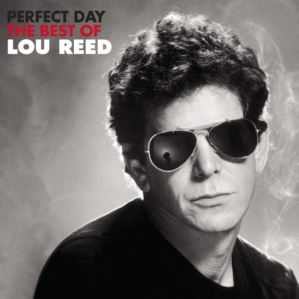 Обложка песни Lou Reed - Perfect Day