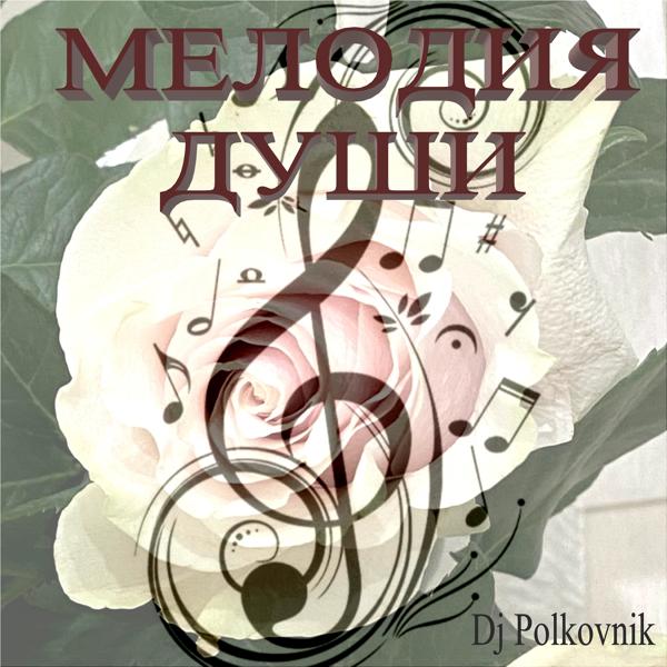 Обложка песни DJ Polkovnik - Мелодия души