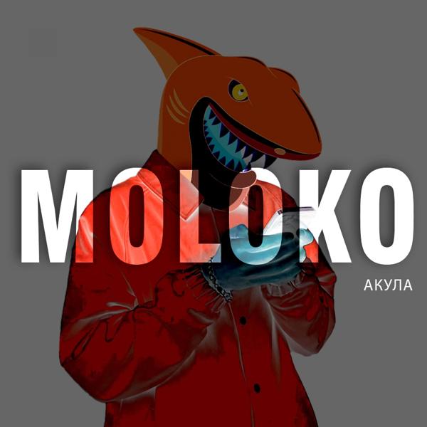 Обложка песни Moloko - Акула