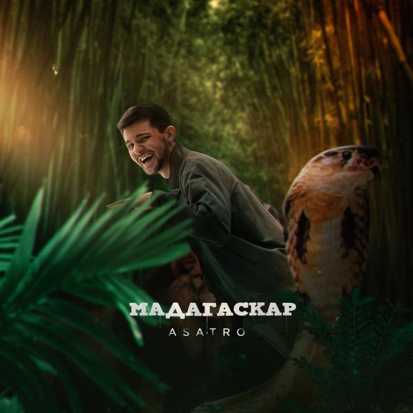 Обложка песни Asatro - Мадагаскар (Prod. by Shustov)