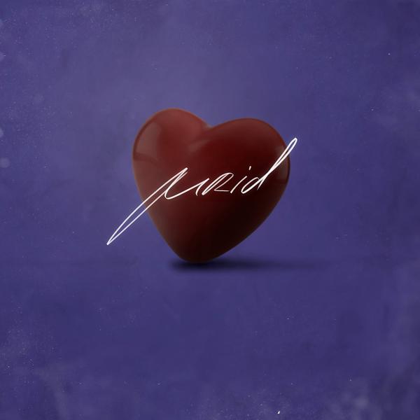 Обложка песни MriD - Сердце