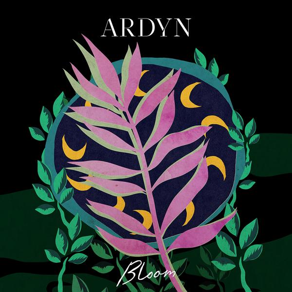 Обложка песни Ardyn - Throwing Stones