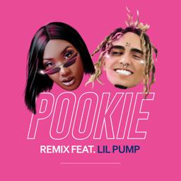 Обложка песни Aya Nakamura, Lil Pump - Pookie (feat. Lil Pump) [Remix]