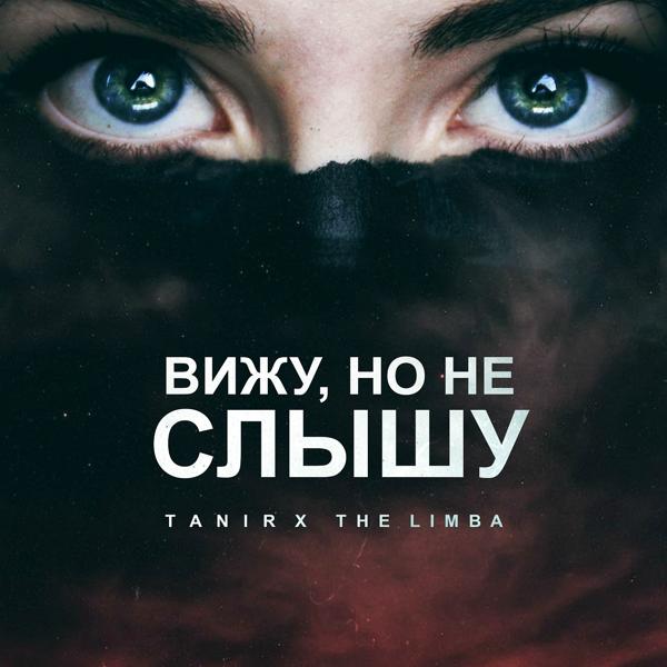 Обложка песни Tanir, The Limba - Вижу, но не слышу