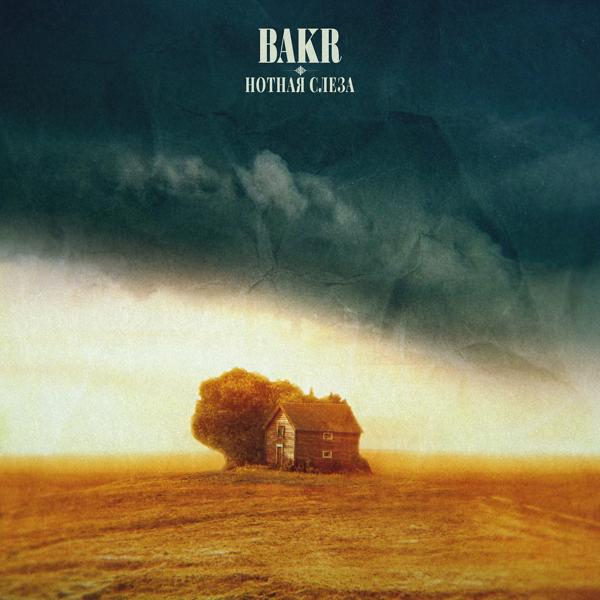 Обложка песни Bakr - Нотная слеза