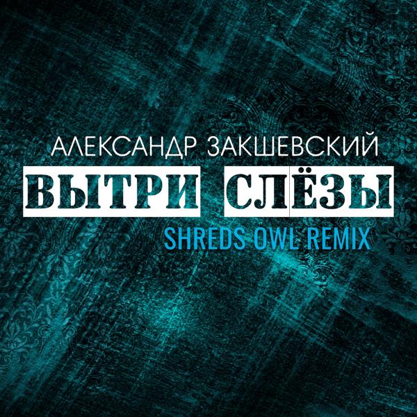 Обложка песни Александр Закшевский - Вытри слёзы (Shreds Owl Remix)