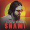 Обложка песни SHAMI - Засыпай солнце