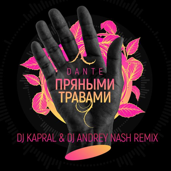 Обложка песни Dante - Пряными травами (DJ Kapral & DJ Andrey Nash Extended Mix)