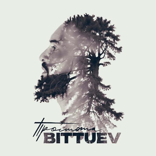 Обложка песни BITTUEV - Простота