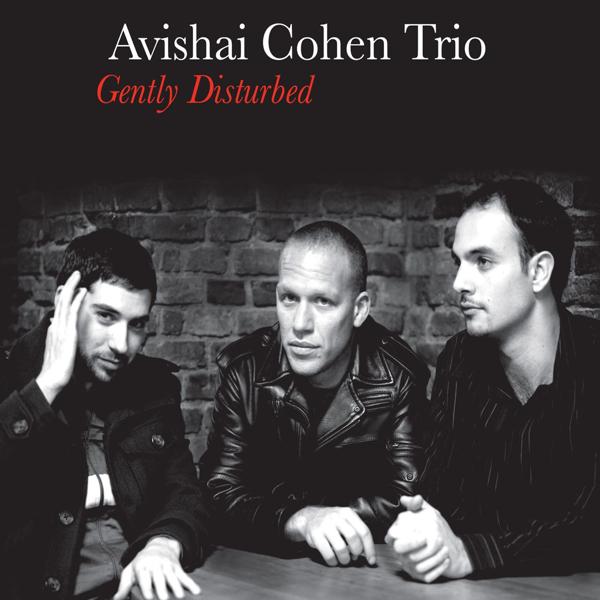 Обложка песни Avishai Cohen Trio - Eleven Wives