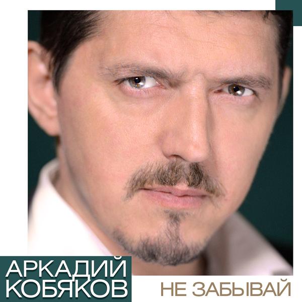 Обложка песни Аркадий Кобяков - Парапет