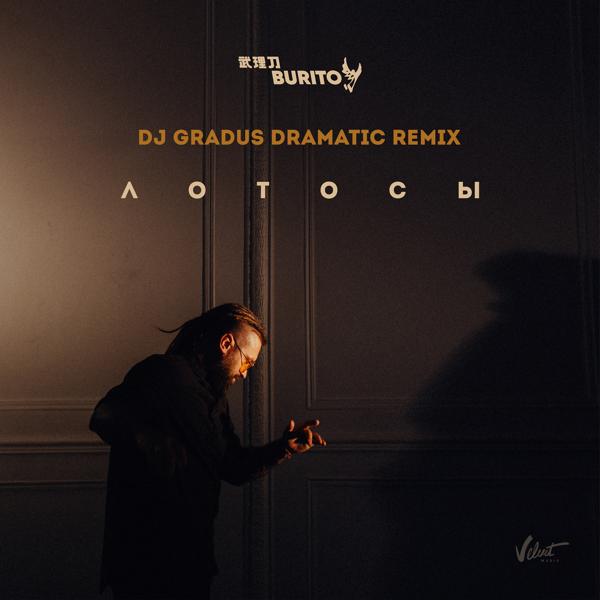 Лотосы (DJ Gradus Dramatic Remix)