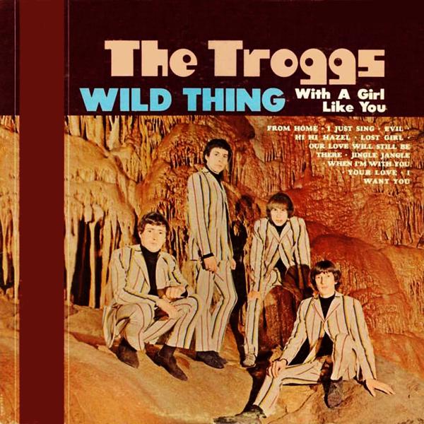 Обложка песни The Troggs - Wild Thing