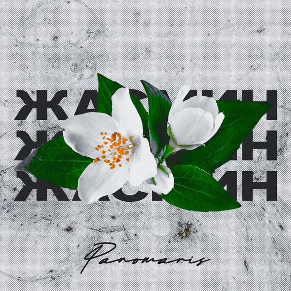 Обложка песни PANOMARIS - Жасмин
