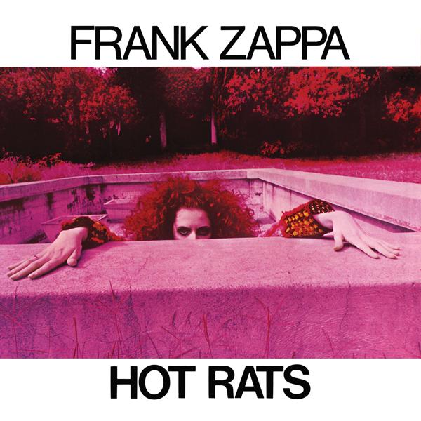 Обложка песни Frank Zappa - Willie The Pimp
