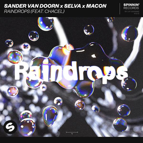 Обложка песни Sander Van Doorn, Selva, Madcon, Chacel - Raindrops (feat. Chacel)