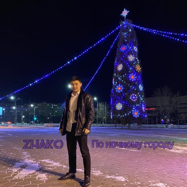 Обложка песни Zhako - По ночному городу