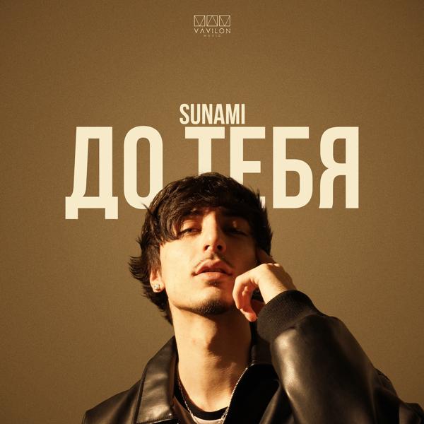 Обложка песни Sunami - До тебя