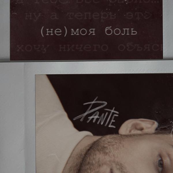 Обложка песни Dante - Не моя боль