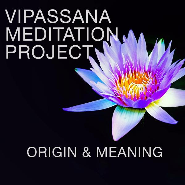Обложка песни Vipassana Meditation Project - Origin & Meaning (Extended Mix)