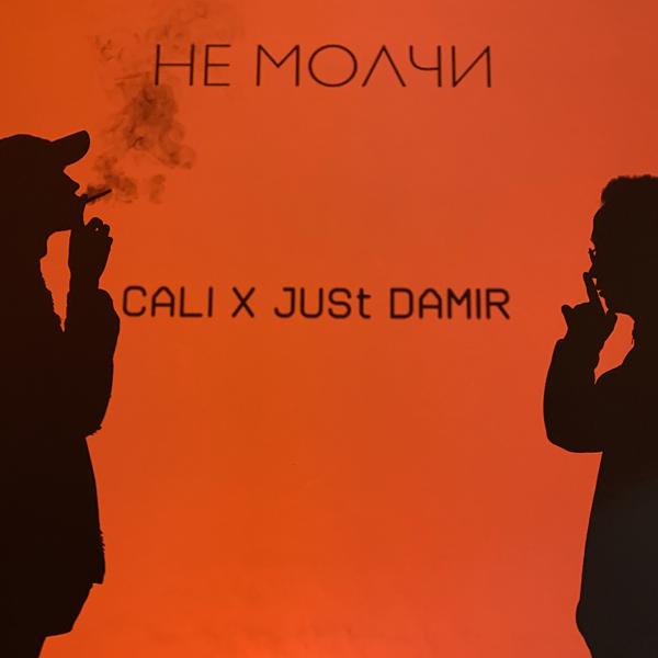 Обложка песни CALI, Just Damir - Не молчи
