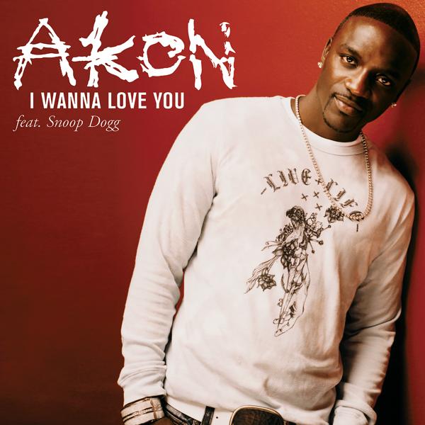 Обложка песни Akon, Snoop Dogg - I Wanna Love You (Album Version (Edited))