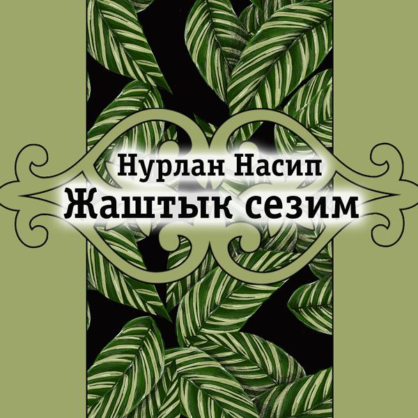 Обложка песни Нурлан Насип - Жаштык сезим