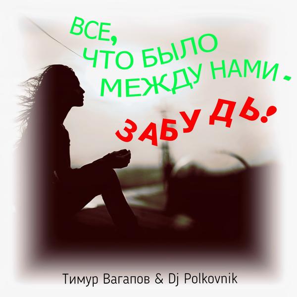 Обложка песни Тимур Вагапов, DJ Polkovnik - Все, что было между нами, - забудь!