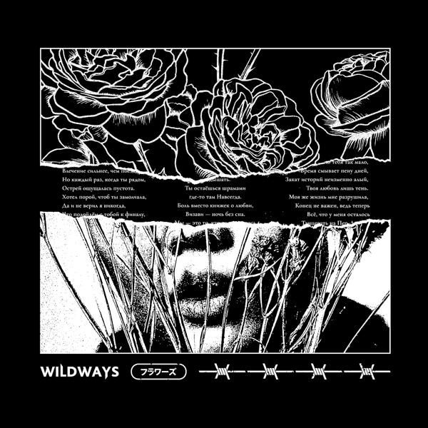 Обложка песни Wildways - Цветы 2.0