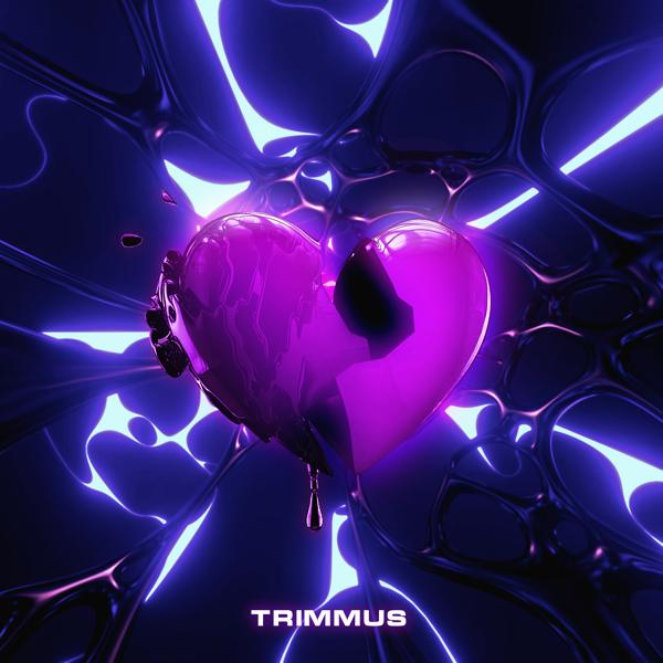 Обложка песни TRIMMUS - В комнате пусто