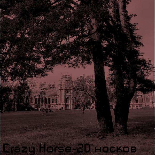 Обложка песни Crazy Horse - 20 носков